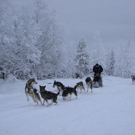 Motel Willis West Ruka Exterior foto